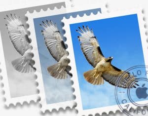 How to Solve the Blank Emails Problem in Mac Mail